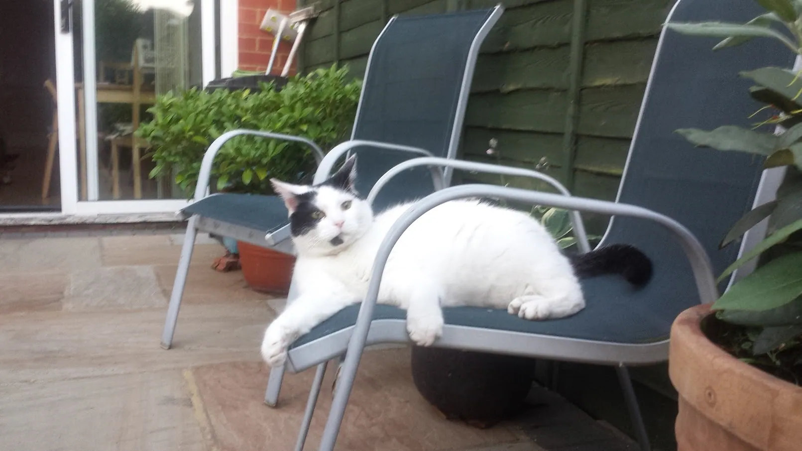 F18 marshall relaxing 18 june 2017 (3)